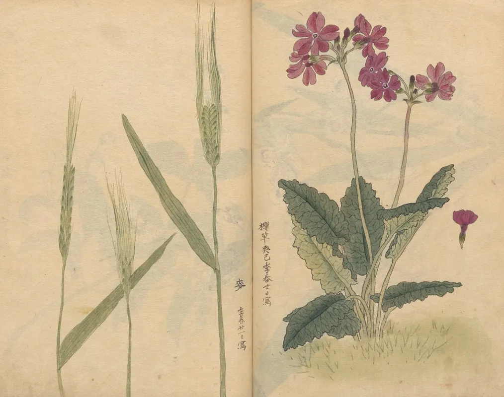 Sketchbook Pl 073 Wall Art by Ariyoshi Kondo - High-Resolution Digital Print
