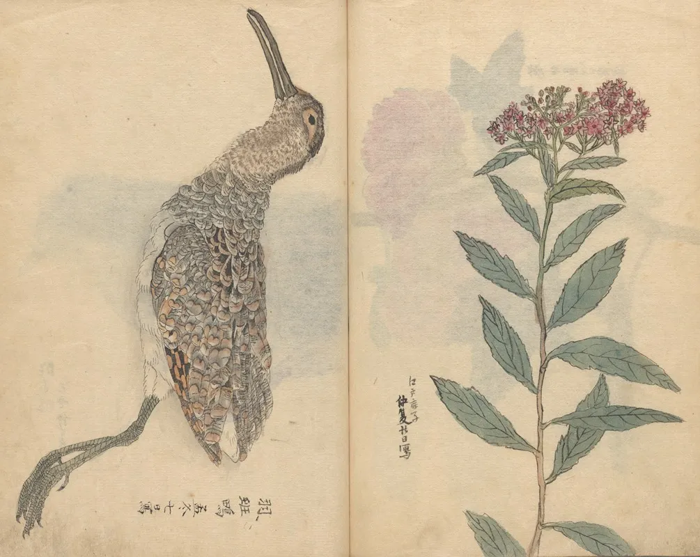 Sketchbook Pl 074 Wall Art by Ariyoshi Kondo - High-Resolution Digital Print