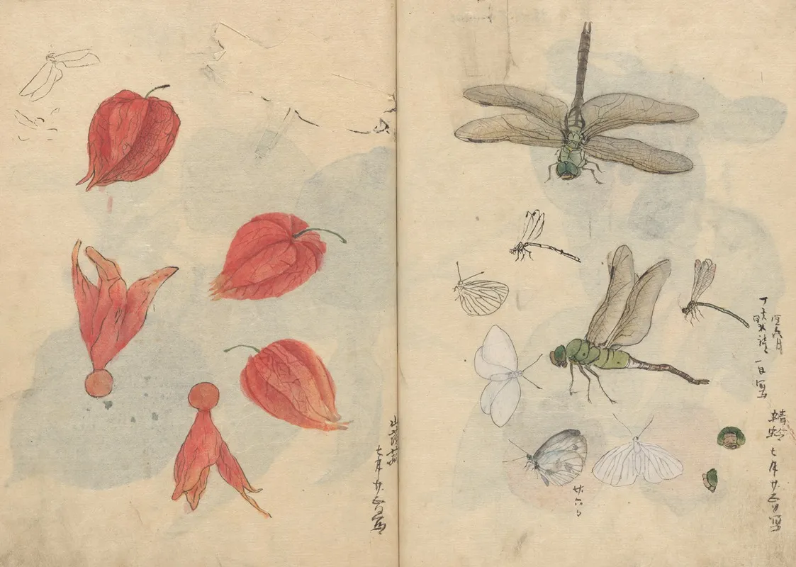 Sketchbook Pl 076 Wall Art by Ariyoshi Kondo - High-Resolution Digital Print