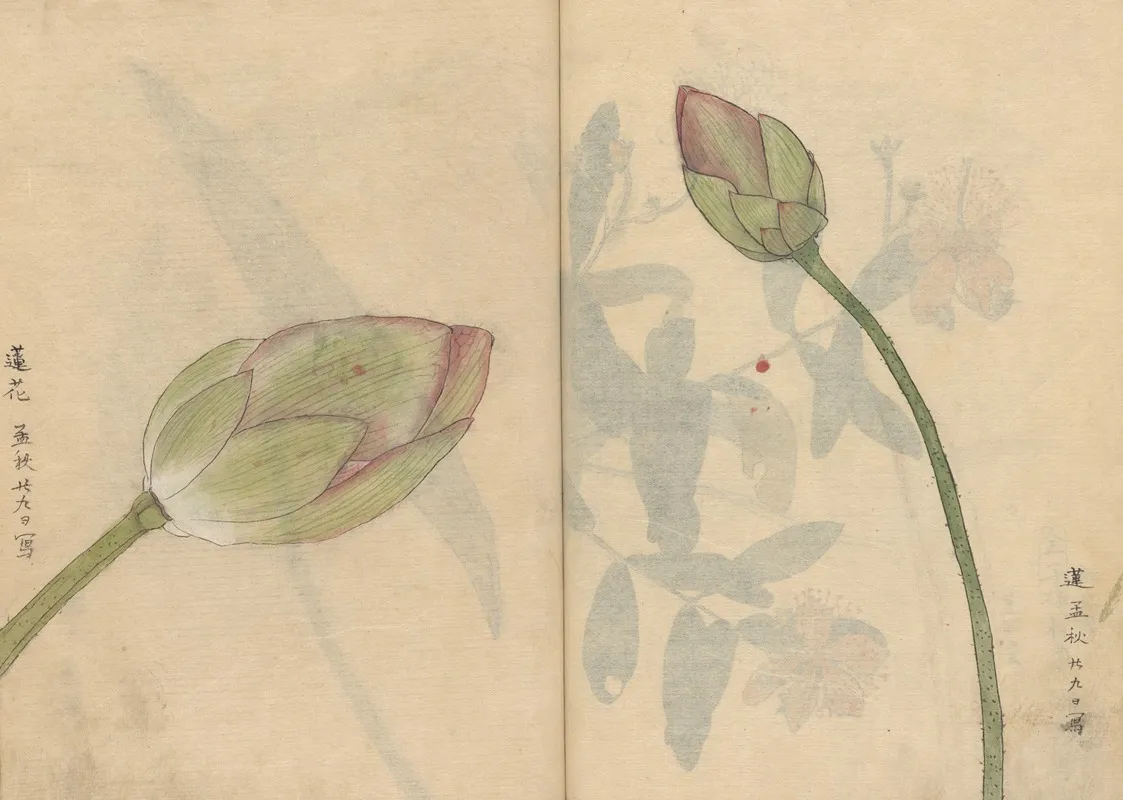 Sketchbook Pl 078 Wall Art by Ariyoshi Kondo - High-Resolution Digital Print