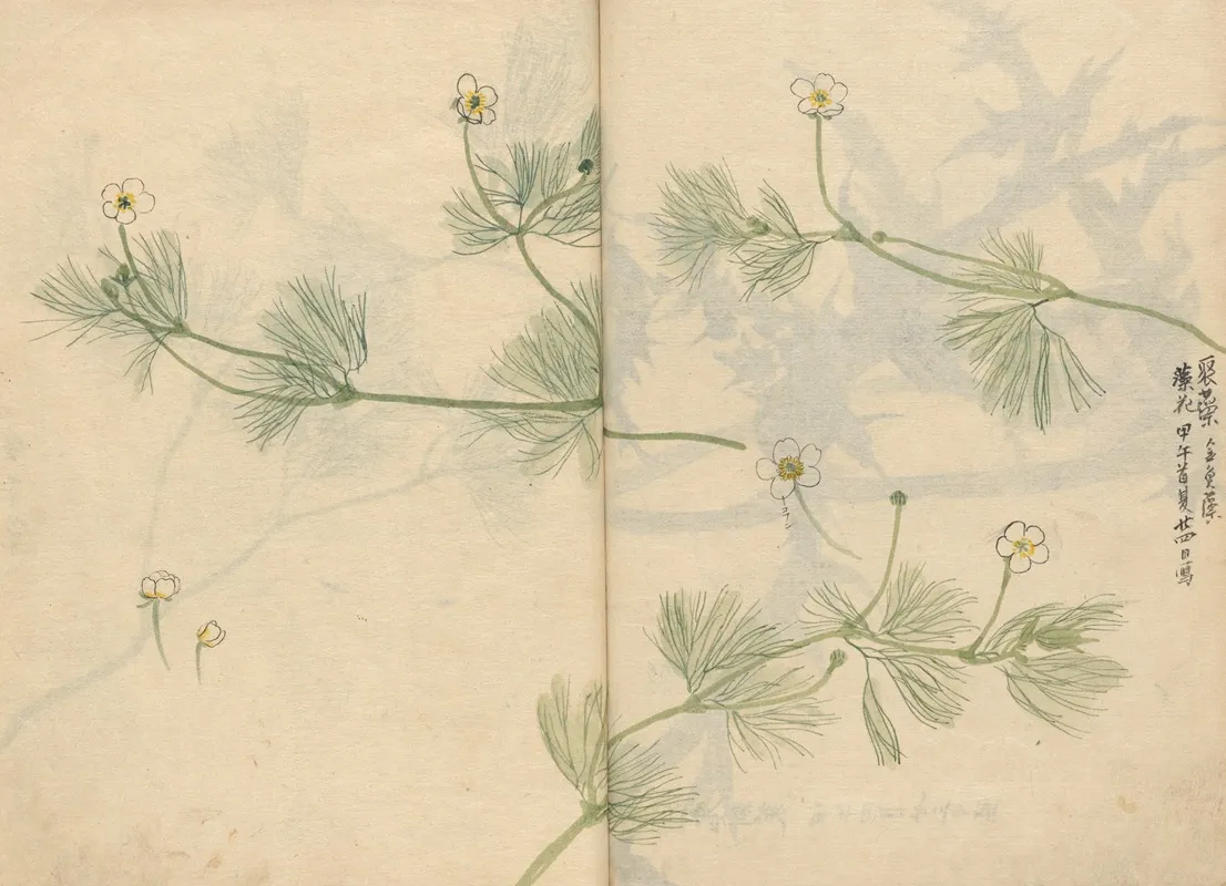 Sketchbook Pl 079 Wall Art by Ariyoshi Kondo - High-Resolution Digital Print