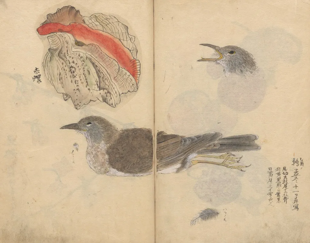 Sketchbook Pl 081 Wall Art by Ariyoshi Kondo - High-Resolution Digital Print