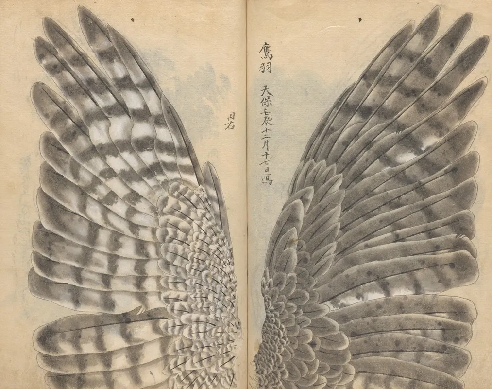 Sketchbook Pl 082 Wall Art by Ariyoshi Kondo - High-Resolution Digital Print