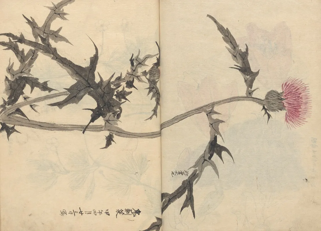 Sketchbook Pl 083 Wall Art by Ariyoshi Kondo - High-Resolution Digital Print