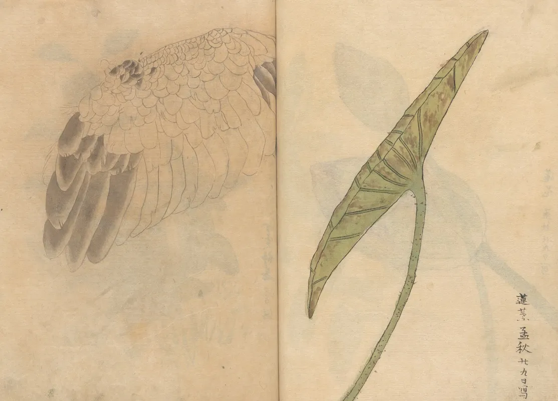 Sketchbook Pl 084 Wall Art by Ariyoshi Kondo - High-Resolution Digital Print