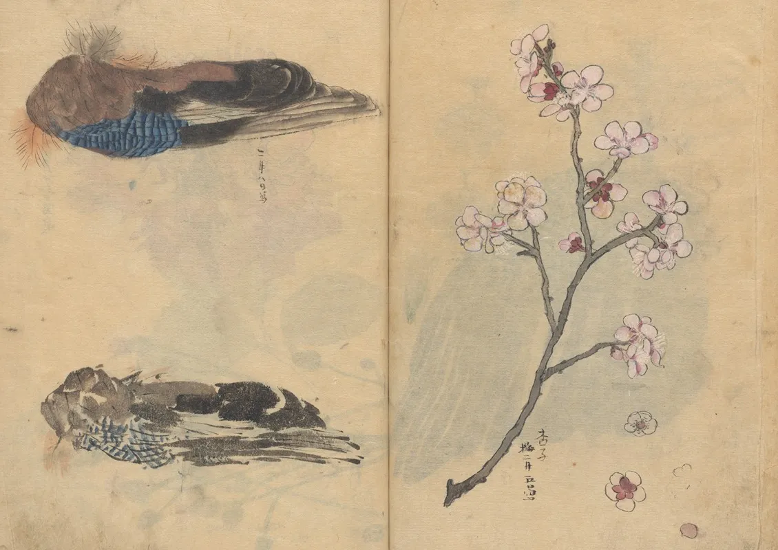 Sketchbook Pl 086 Wall Art by Ariyoshi Kondo - High-Resolution Digital Print