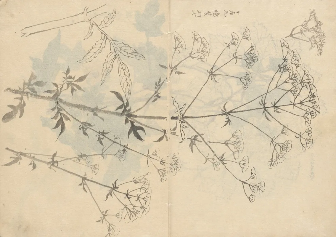 Sketchbook Pl 087 Wall Art by Ariyoshi Kondo - High-Resolution Digital Print