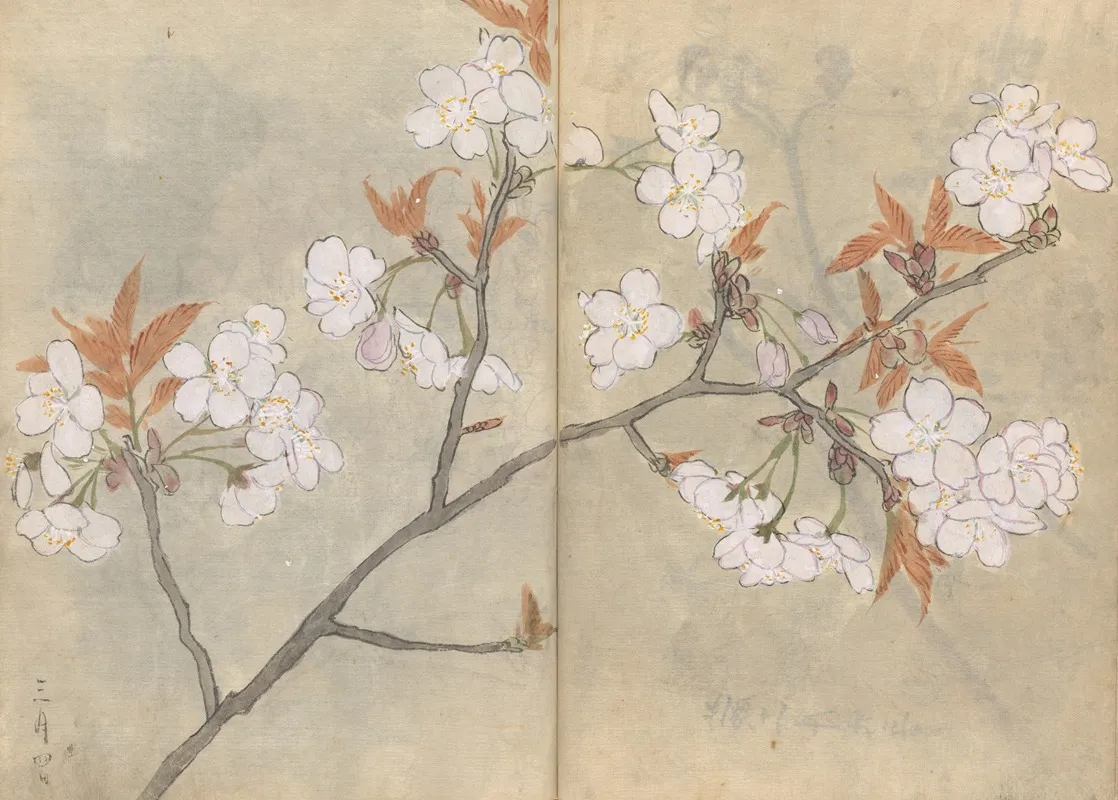 Sketchbook Pl 088 Wall Art by Ariyoshi Kondo - High-Resolution Digital Print