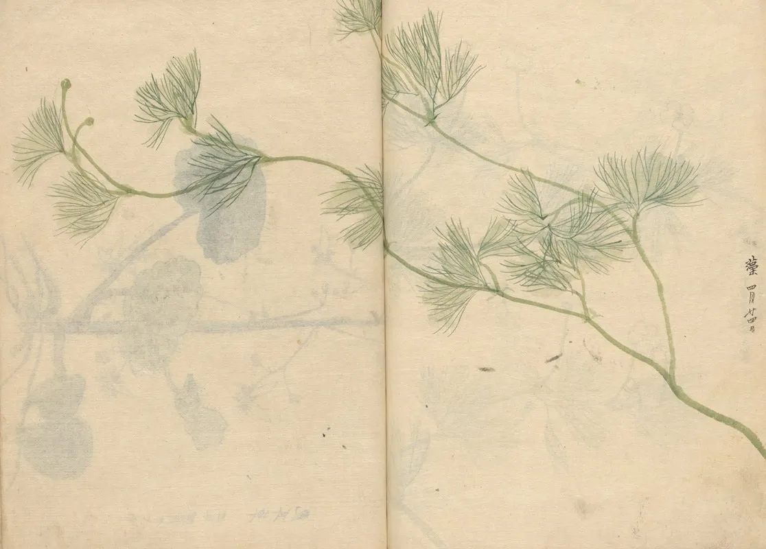 Sketchbook Pl 089 Wall Art by Ariyoshi Kondo - High-Resolution Digital Print