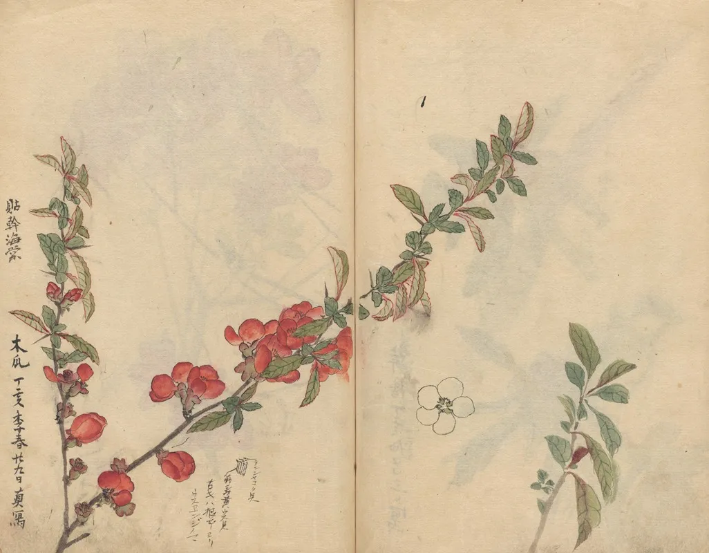 Sketchbook Pl 090 Wall Art by Ariyoshi Kondo - High-Resolution Digital Print