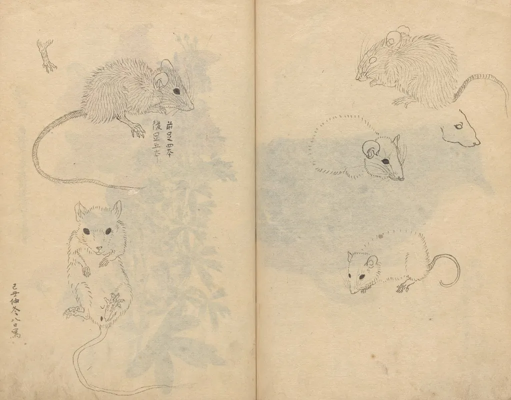 Sketchbook Pl 092 Wall Art by Ariyoshi Kondo - High-Resolution Digital Print