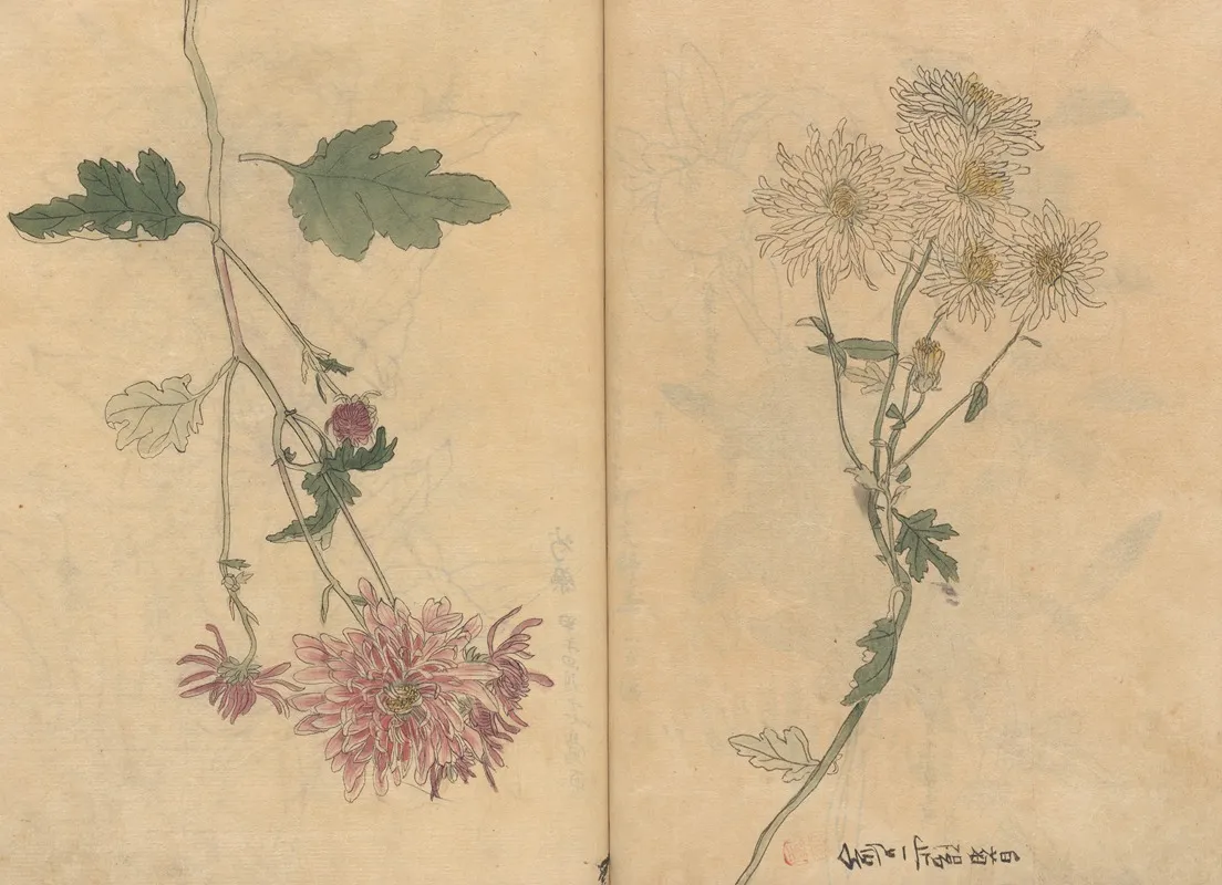 Sketchbook Pl 098 Wall Art by Ariyoshi Kondo - High-Resolution Digital Print