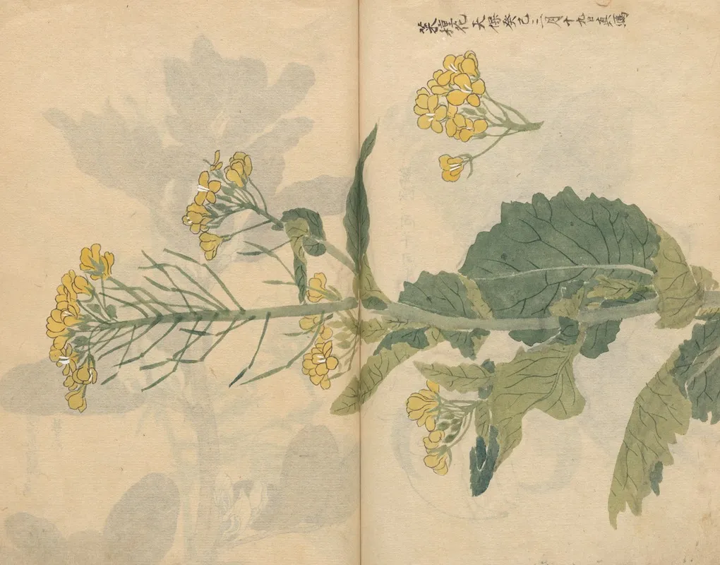 Sketchbook Pl 099 Wall Art by Ariyoshi Kondo - High-Resolution Digital Print