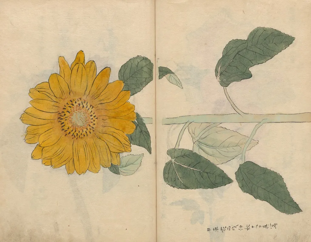 Sketchbook Pl 103 Wall Art by Ariyoshi Kondo - High-Resolution Digital Print