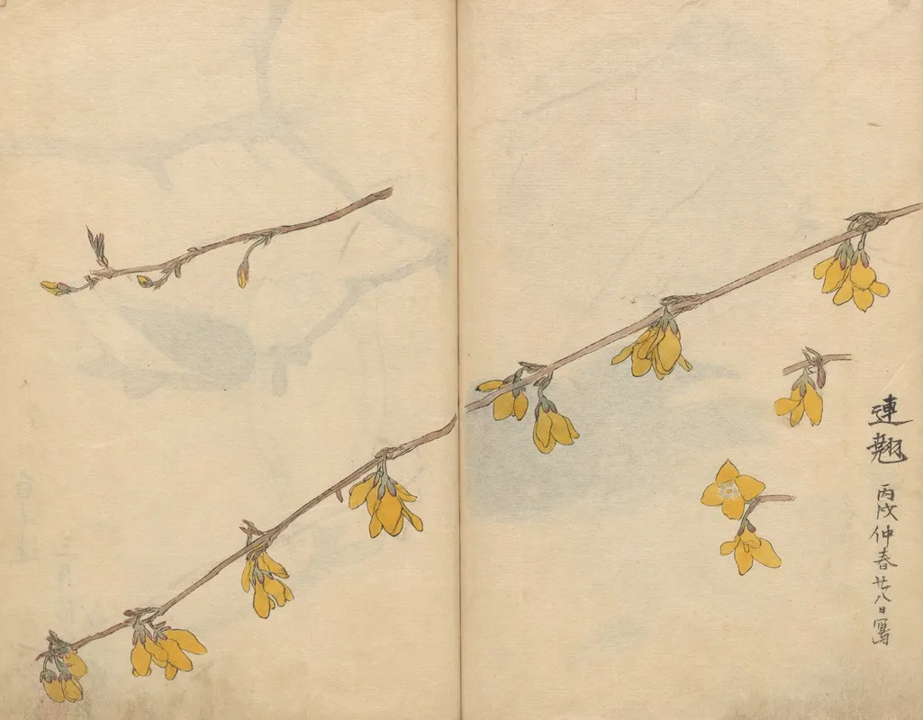 Sketchbook Pl 104 Wall Art by Ariyoshi Kondo - High-Resolution Digital Print