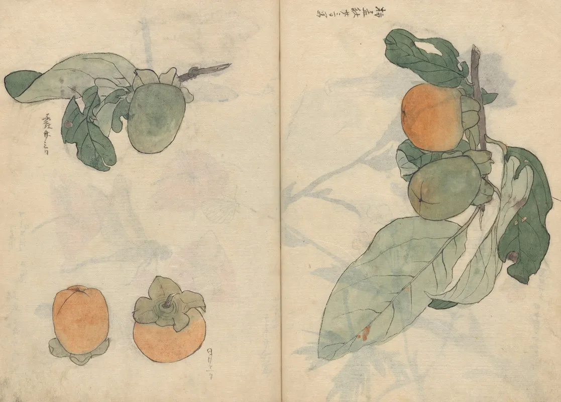 Sketchbook Pl 106 Wall Art by Ariyoshi Kondo - High-Resolution Digital Print