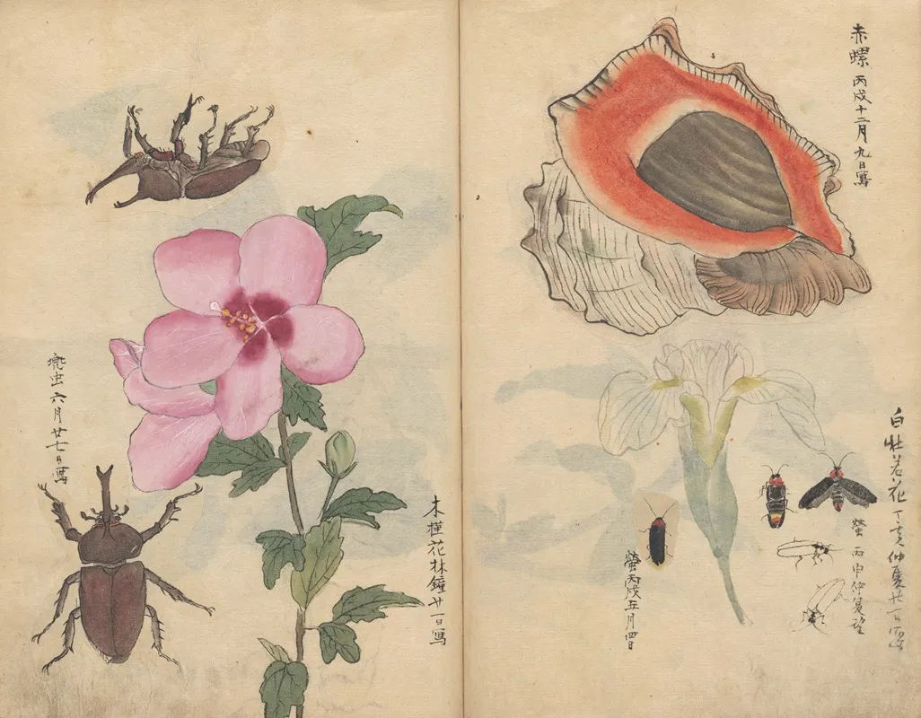 Sketchbook Pl 108 Wall Art by Ariyoshi Kondo - High-Resolution Digital Print