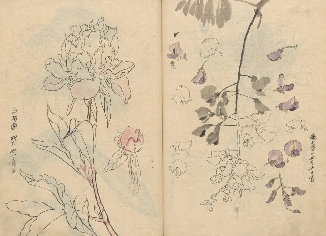 Sketchbook Pl 110 Wall Art by Ariyoshi Kondo - High-Resolution Digital Print