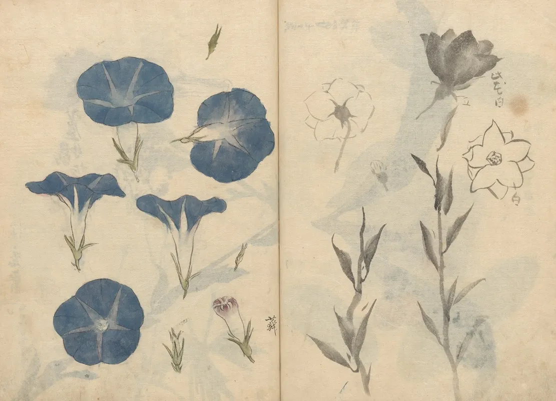 Sketchbook Pl 112 Wall Art by Ariyoshi Kondo - High-Resolution Digital Print