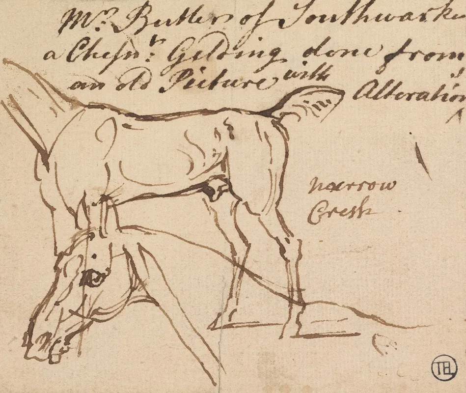 Sketches Of A Gelding