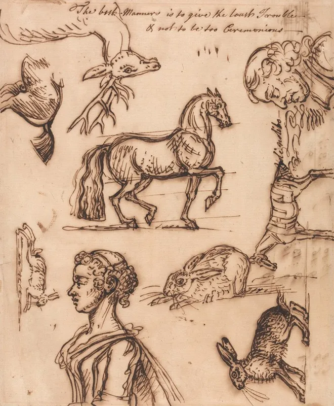 Sketches Of A Hare Horse Stag Man And Woman