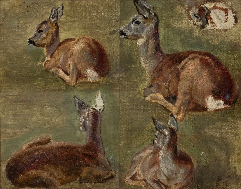Sketches Of Fawns