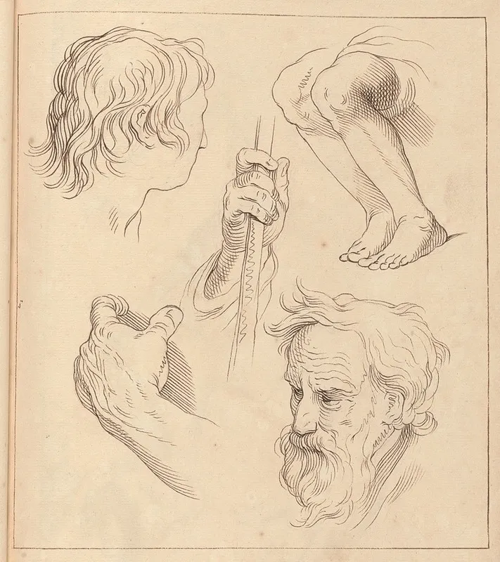 Sketches Of Hands Heads And Legs