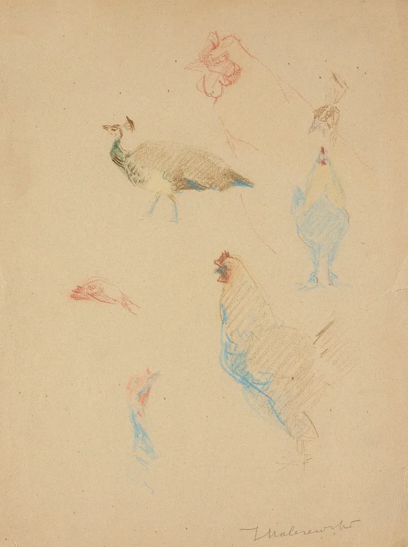 Sketches Of Hens And A Peacock And A Turkeys Head