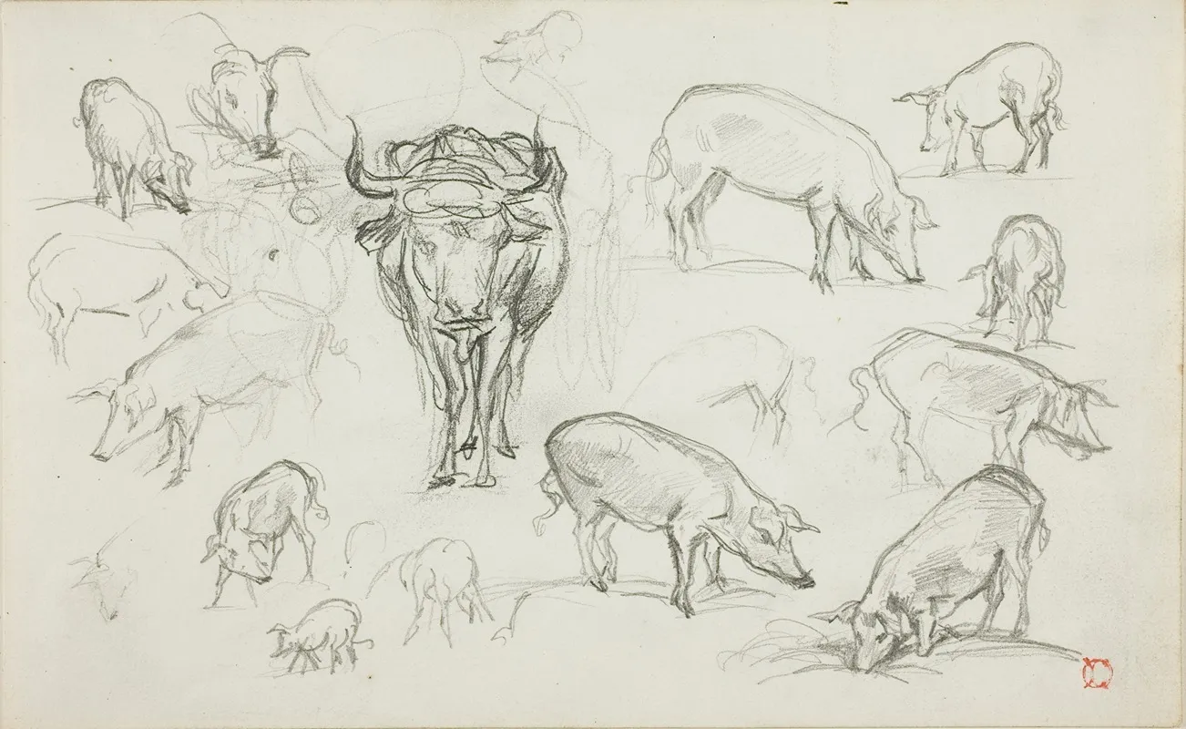 Sketches Of Swine And An Ox
