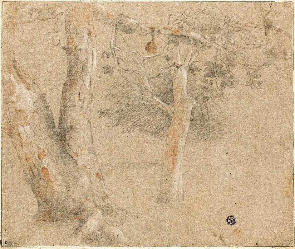 Sketches Of Trees Wall Art by Cristofano Allori - High-Resolution Digital Print
