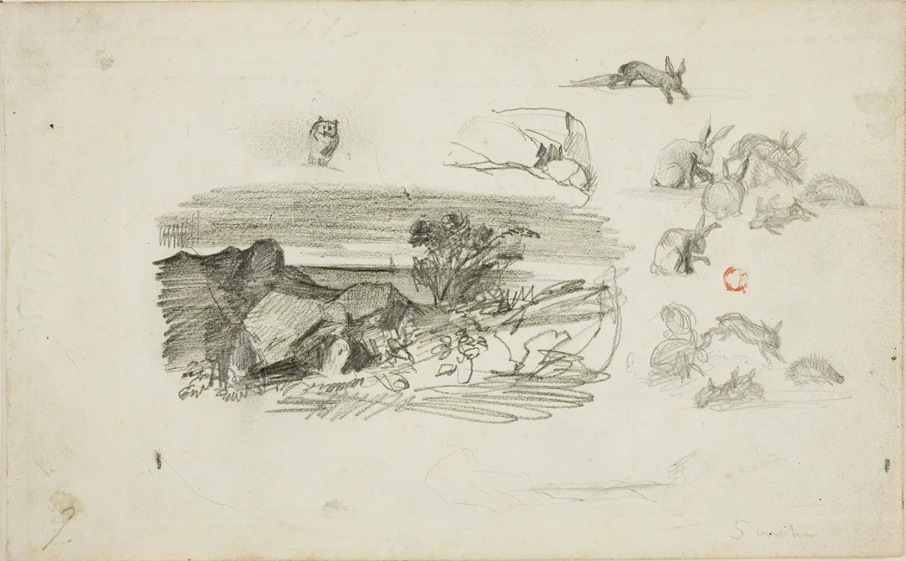 Sketches Rocky Setting And Rabbits