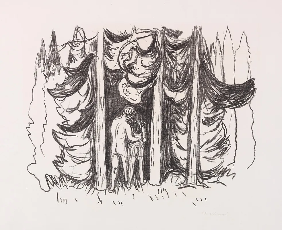 Skogen Der Wald