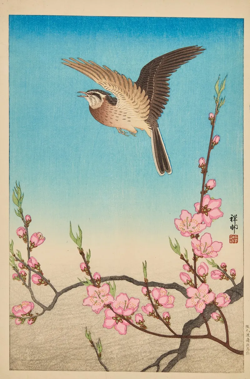 Skylark In Flight Above Blossoming Peach Wall Art by Ohara Koson - High-Resolution Digital Print