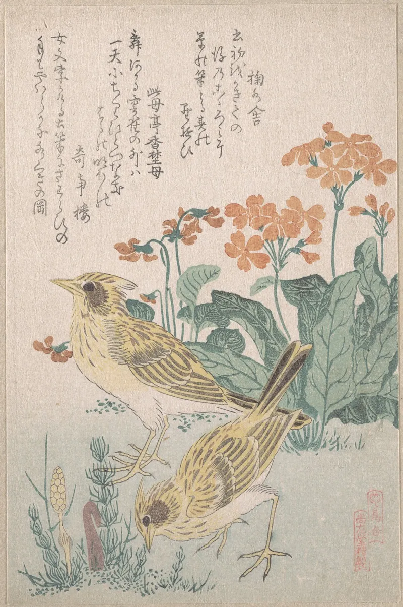 Skylarks And Primroses