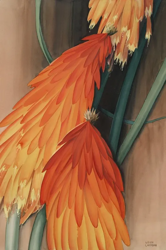 Skyrocket Red Hot Poker Wall Art by Leon Carroll - High-Resolution Digital Print