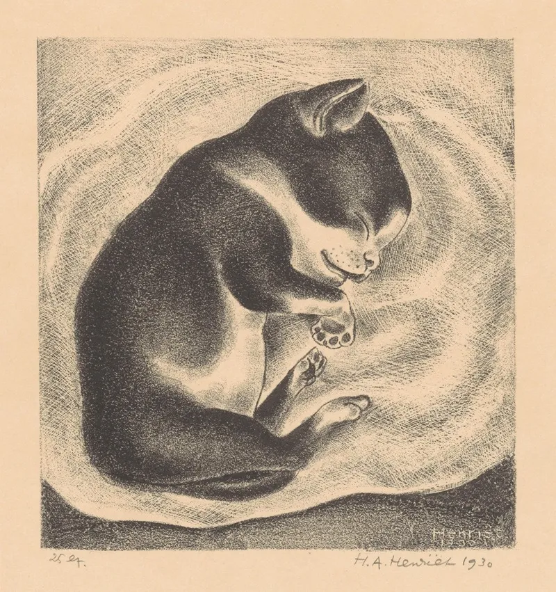 Slapende Jonge Kat Wall Art by Henk Henriët - High-Resolution Digital Print