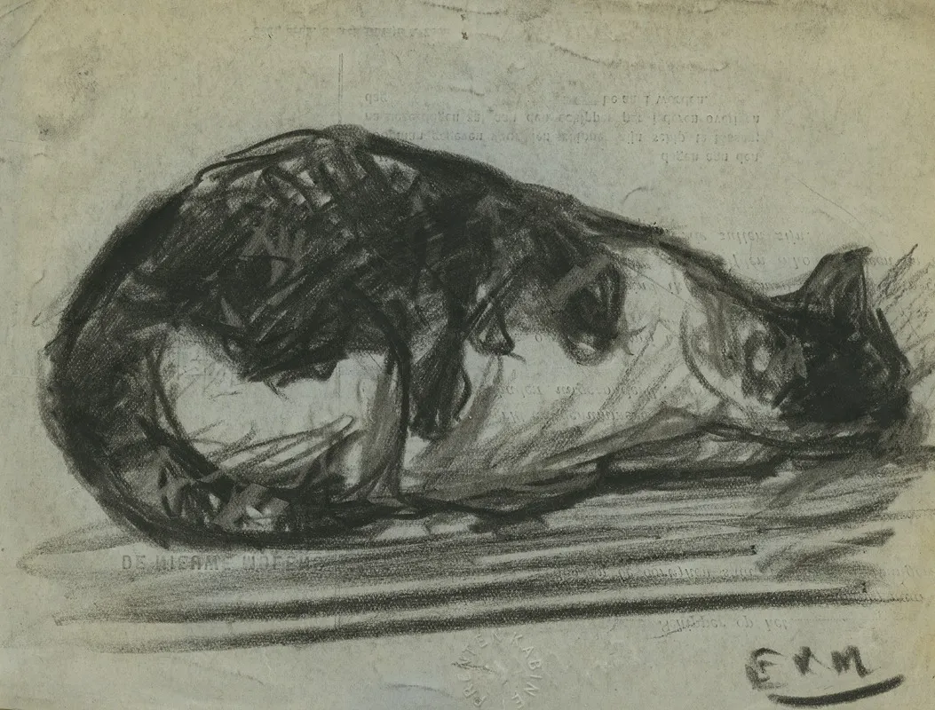 Slapende Kat 2