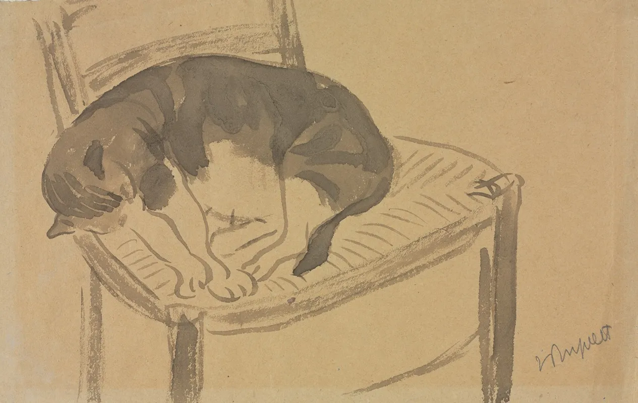 Sleeping Cat 2