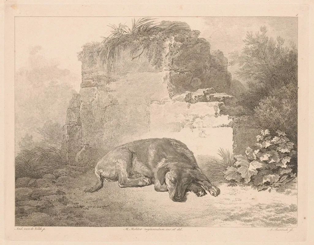 Sleeping Dog In Front Of A Wall Wall Art by Adam von Bartsch - High-Resolution Digital Print