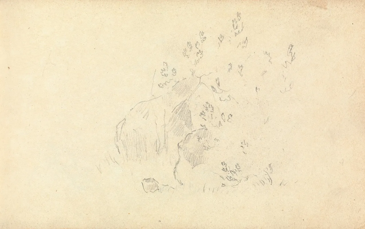 Slight Sketch Of Rocks And Leaves