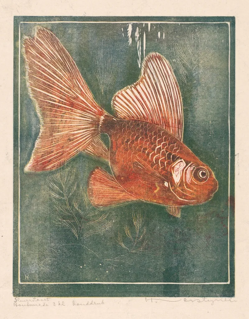 Sluierstaart