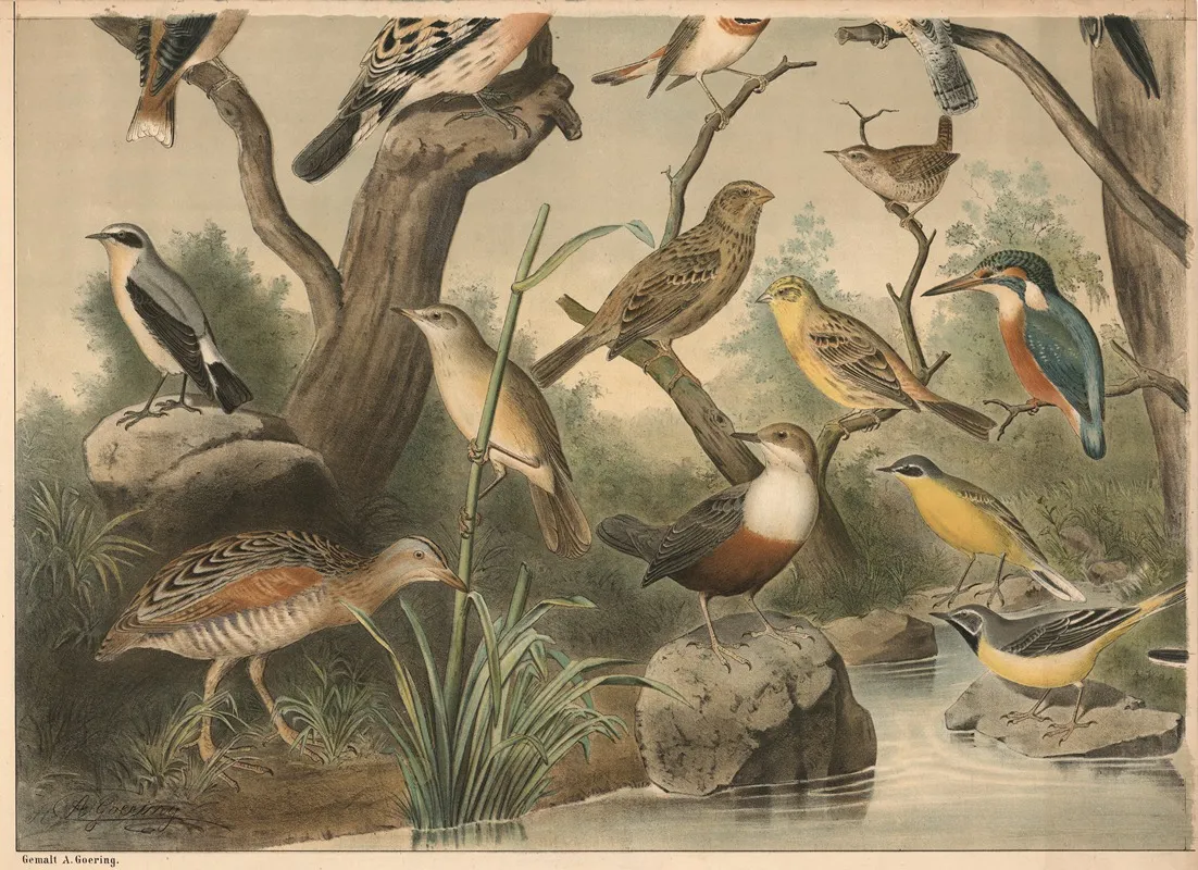 Small Birds I Wall Art by Christian Anton Goering - High-Resolution Digital Print