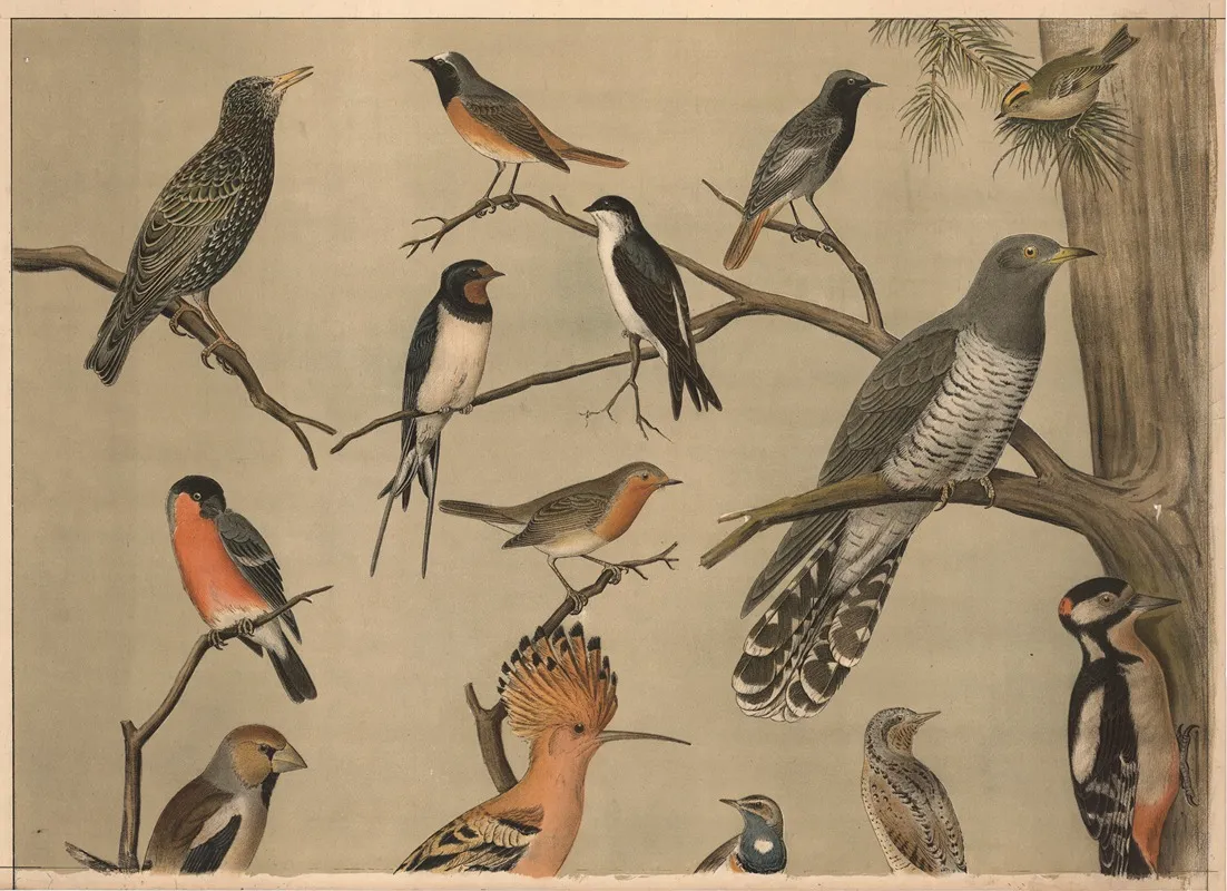 Small Birds Ii Wall Art by Christian Anton Goering - High-Resolution Digital Print
