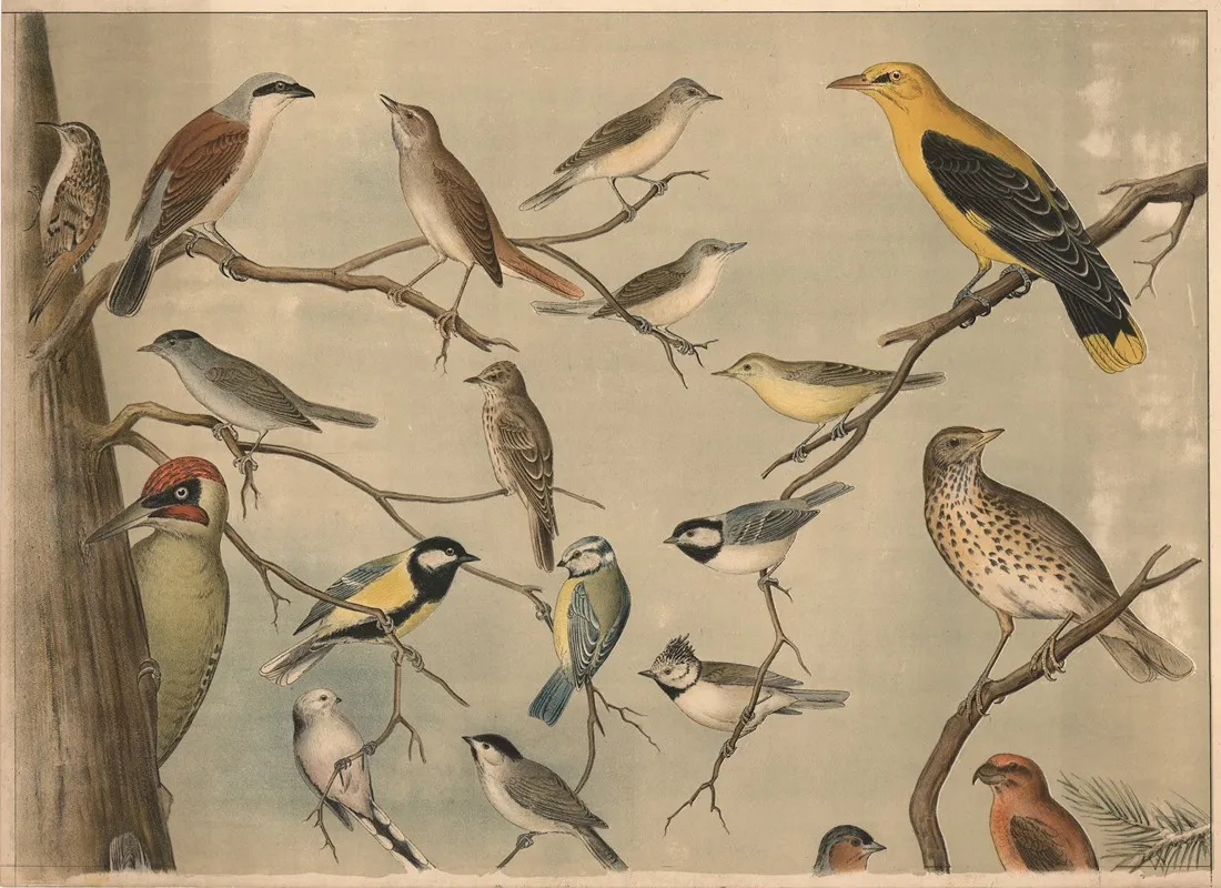 Small Birds Iv Wall Art by Christian Anton Goering - High-Resolution Digital Print