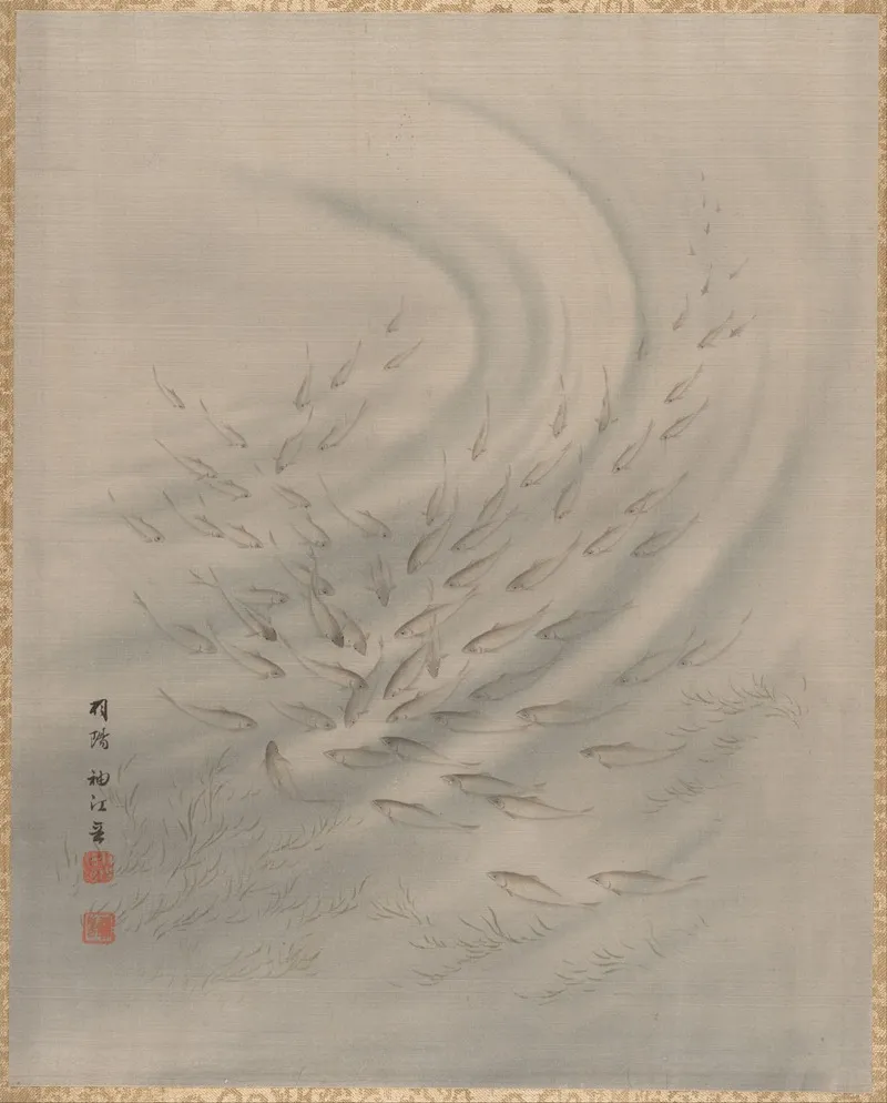 Small Fishes