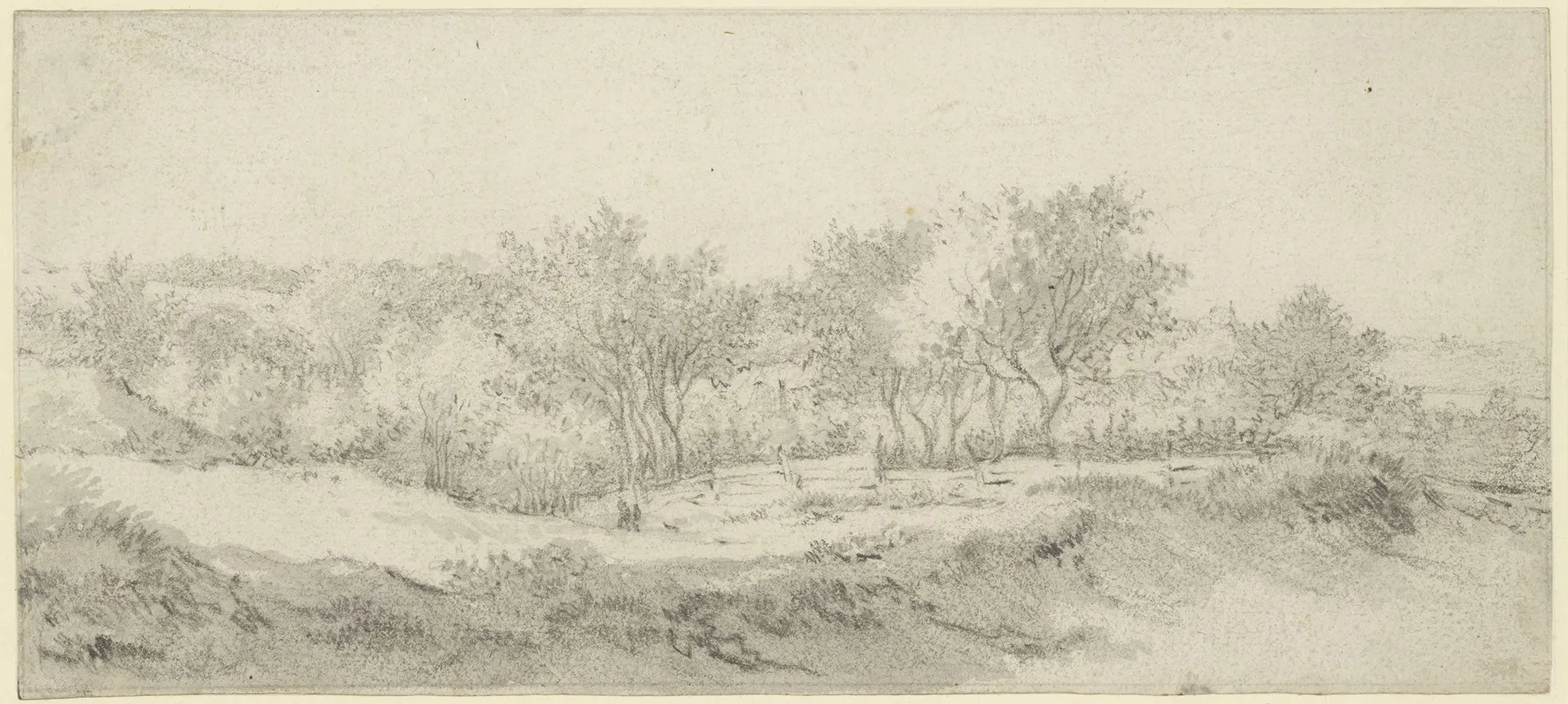 Small Section Of A Tree With A Fence