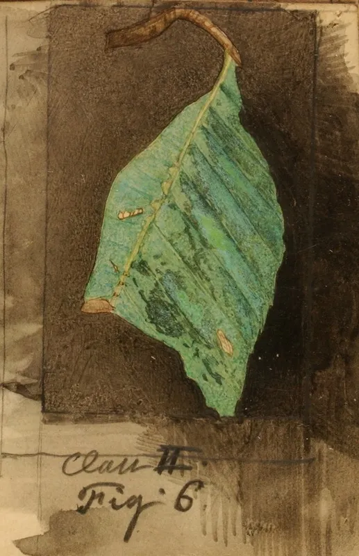 Smaller Spotted Beach Leaf Edge Caterpillar Wall Art by Emma Beach Thayer - High-Resolution Digital Print