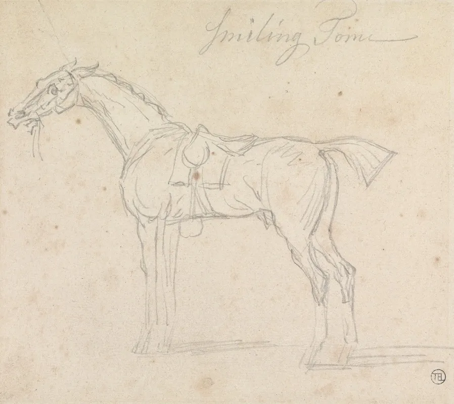 Smiling Tom Saddled And Bridled Standing Facing Left