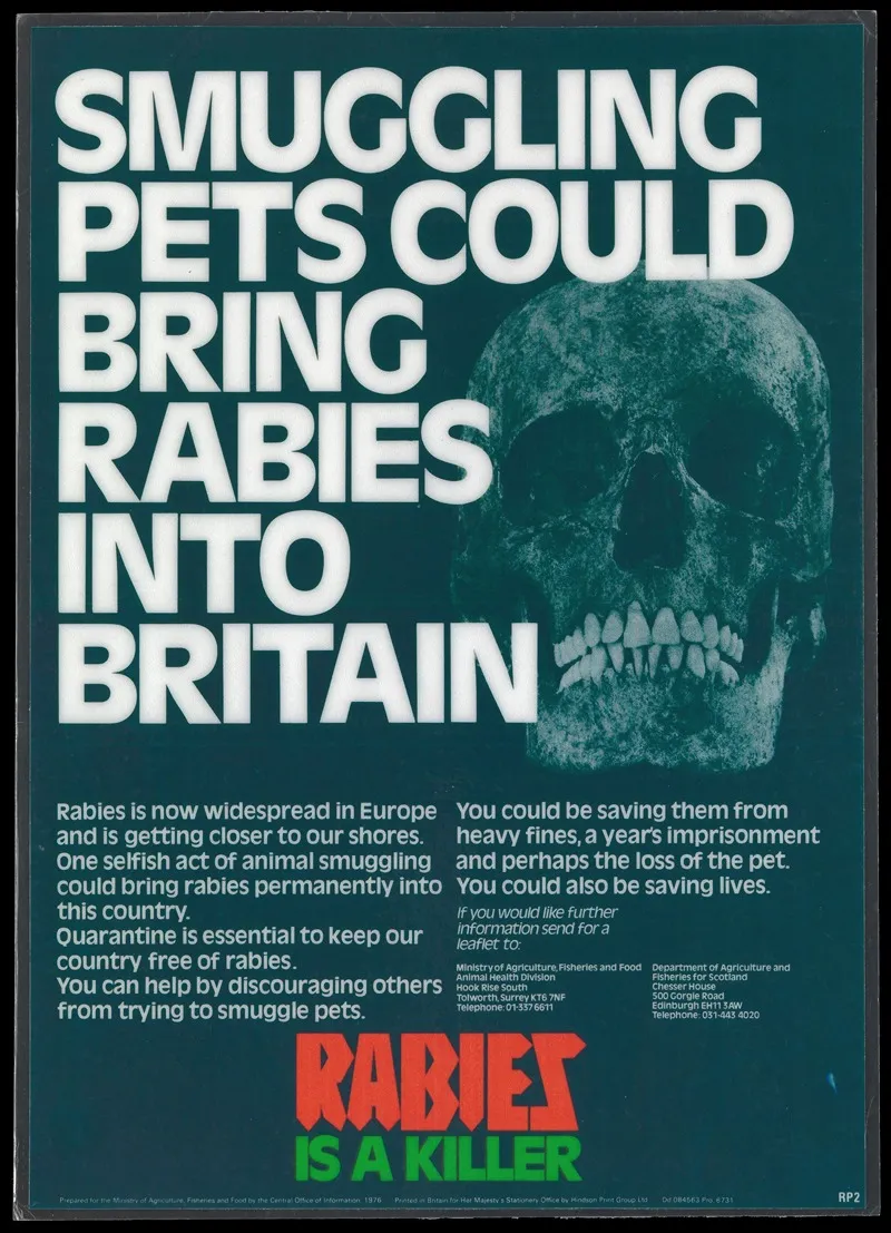 Smuggling Pets Could Bring Rabies Into Britain Wall Art by Ministry of Agriculture, Fisheries and Food - High-Resolution Digital Print