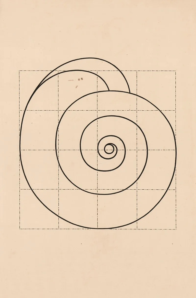 Snail Shell Wall Art by Søren Jacob Grønvald - High-Resolution Digital Print